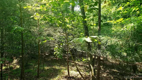 Caney Fork Road, Cullowhee, NC 28723 photo 5