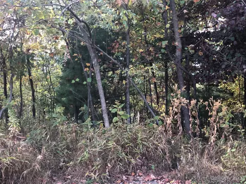 6224 High Mountain Rd, Morganton, NC 28655