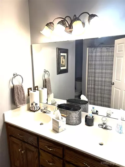 432 Pine Forest Ct, Vale, NC 28168 photo 28
