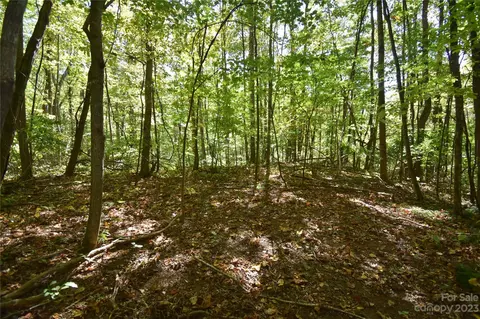 00 Top Drop Ln, Sylva, NC 28779 photo 11