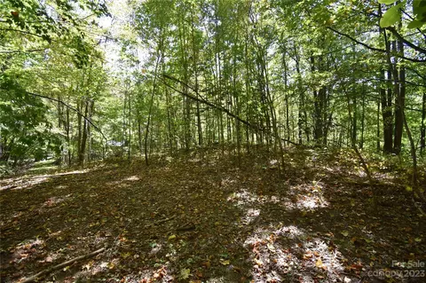 00 Top Drop Ln, Sylva, NC 28779