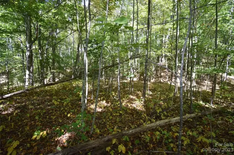 00 Top Drop Ln, Sylva, NC 28779 photo 3