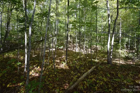 00 Top Drop Ln, Sylva, NC 28779 photo 4