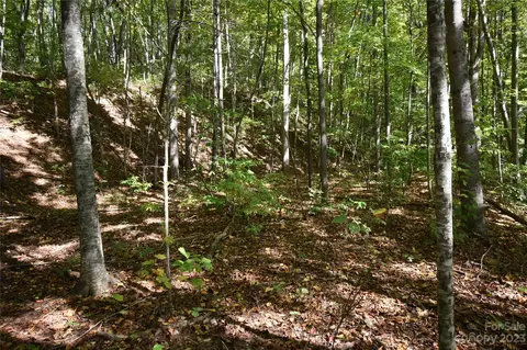 00 Top Drop Ln, Sylva, NC 28779 photo 8