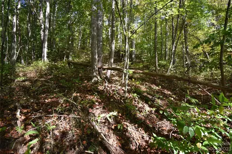 00 Top Drop Ln, Sylva, NC 28779 photo 13