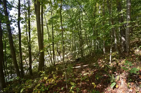 00 Top Drop Ln, Sylva, NC 28779 photo 12