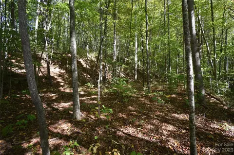 00 Top Drop Ln, Sylva, NC 28779 photo 7