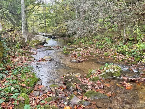 7361 Meadow Fork Rd, Hot Springs, NC 28743