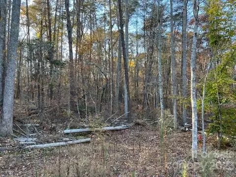 Shady Lane, Mill Spring, NC 28756 photo 7