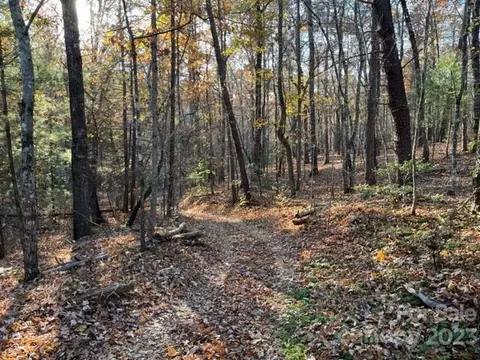 Shady Lane, Mill Spring, NC 28756 photo 6