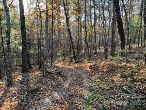 Shady Lane, Mill Spring, NC 28756 photo 6