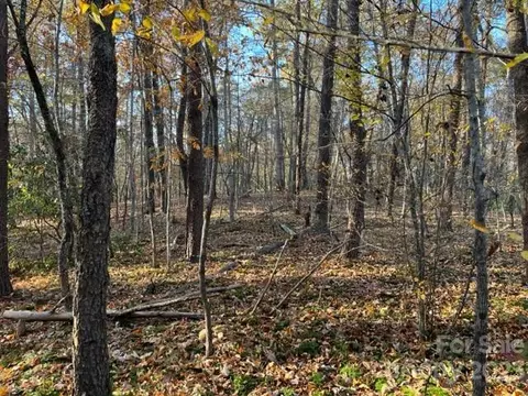 Shady Lane, Mill Spring, NC 28756