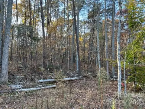 Shady Lane, Mill Spring, NC 28756 photo 7