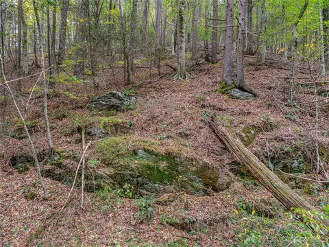 693 Sharp Hollow Rd, Marshall, NC 28753 photo 39
