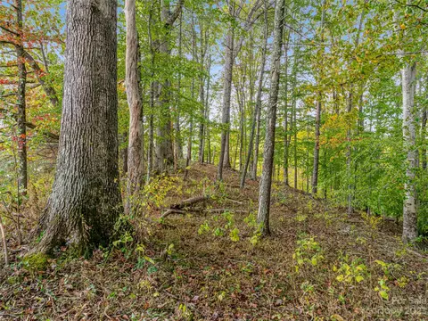 693 Sharp Hollow Rd, Marshall, NC 28753 photo 41