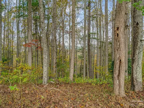 693 Sharp Hollow Rd, Marshall, NC 28753 photo 42