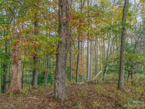 693 Sharp Hollow Rd, Marshall, NC 28753 photo 40