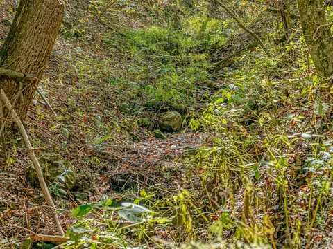 693 Sharp Hollow Rd, Marshall, NC 28753 photo 43