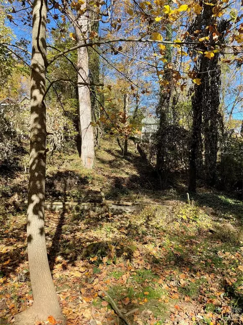 99999 Craggy 1 Ave #1, Asheville, NC 28806