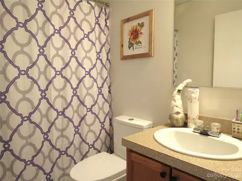 4116 Big Level Rd, Mill Spring, NC 28756 photo 15