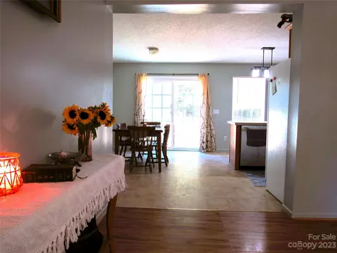 4116 Big Level Rd, Mill Spring, NC 28756 photo 4