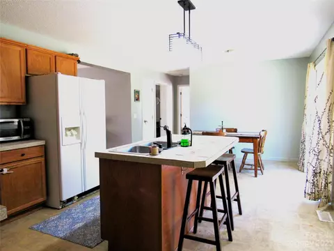 4116 Big Level Rd, Mill Spring, NC 28756 photo 8