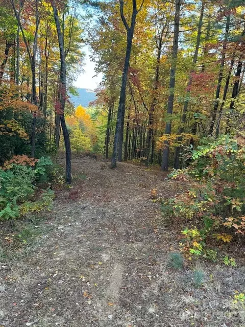 Birch 32 Lane #32, Rosman, NC 28772