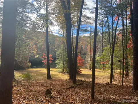 8888 Marshall Lake Rd, Cedar Mountain, NC 28718