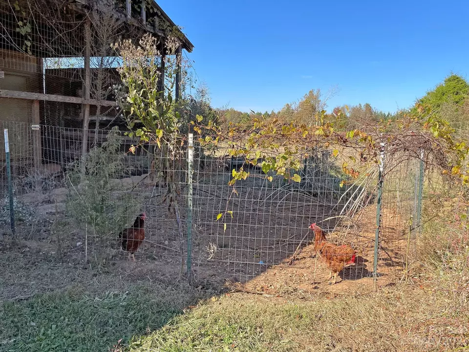  207 Rowan Rd, Cleveland, NC 27013 photo 26