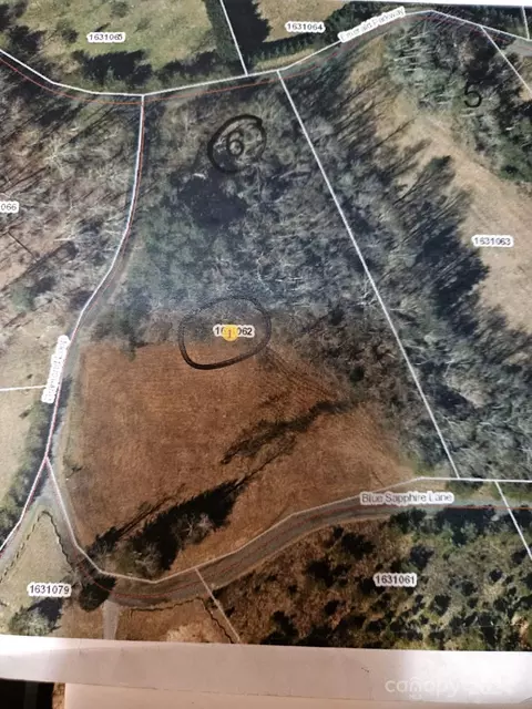 View/Area - 125 Diamond Loop, Rutherfordton, NC 28139 photo 3 of 3