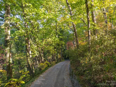 1473 Us 176 Hwy, Tryon, NC 28782 photo 48