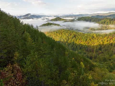 00 Renfro Rd, Green Mountain, NC 28740