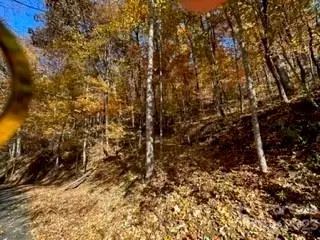 19 Lochmoor Ln, Waynesville, NC 28785