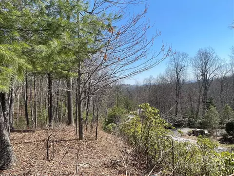 126 Pinnacle Peak Ln, Flat Rock, NC 28731