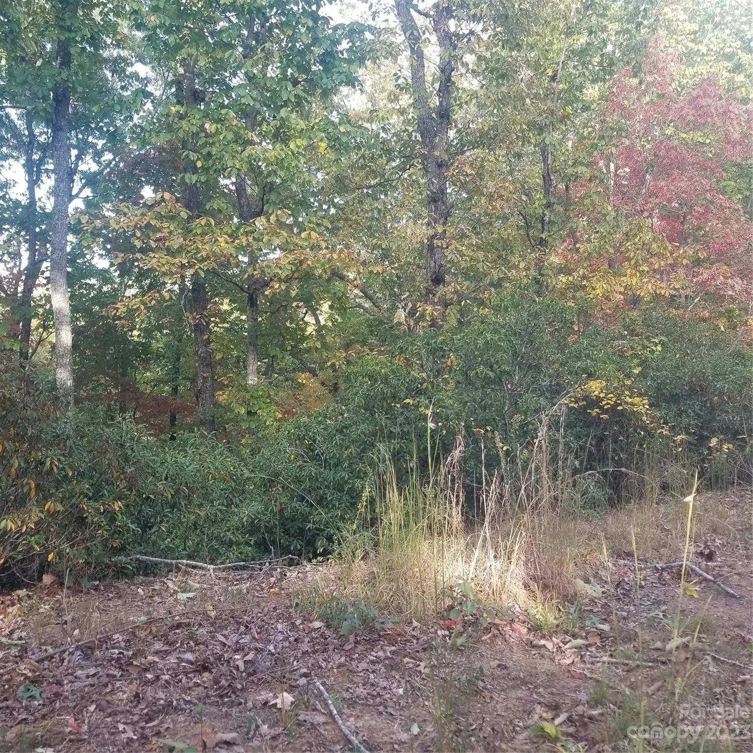 000 Raven 75 Blvd Unit 75