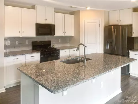 3057 Treyson Dr, Denver, NC 28037 photo 7