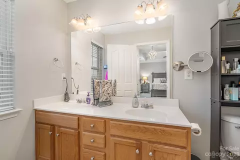 7572 Bluff Point Ln, Denver, NC 28037 photo 22