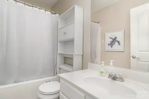 7572 Bluff Point Ln, Denver, NC 28037 photo 28