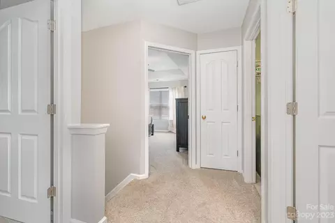 7572 Bluff Point Ln, Denver, NC 28037 photo 18