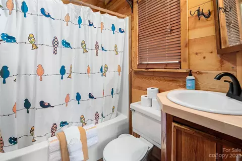 50 Starlight Cir, Brevard, NC 28712 photo 9