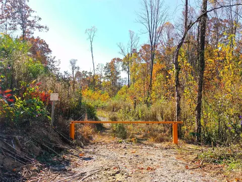 0000 Comet View Ln, Flat Rock, NC 28731 photo 41