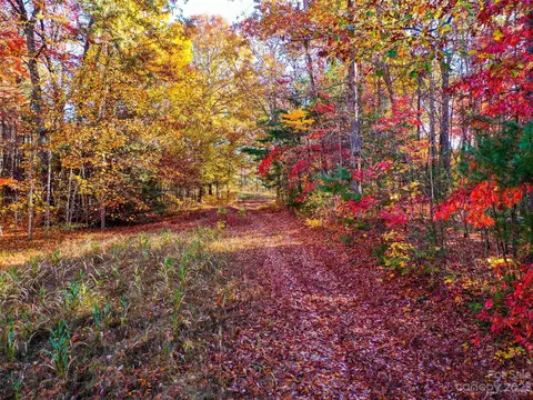 0000 Comet View Ln, Flat Rock, NC 28731 photo 6