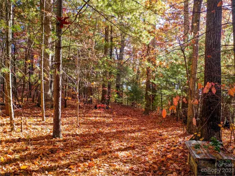 0000 Comet View Ln, Flat Rock, NC 28731 photo 5