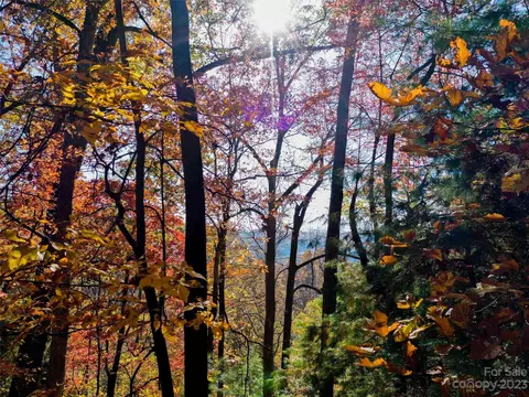 0000 Comet View Ln, Flat Rock, NC 28731 photo 11