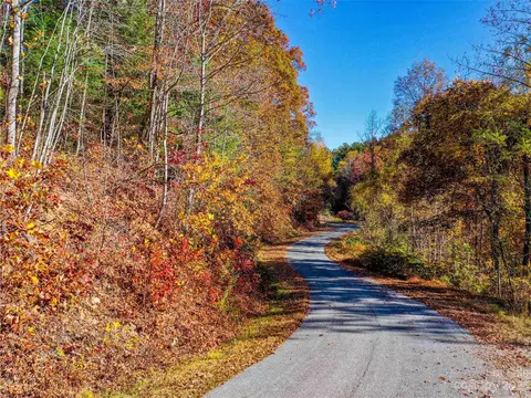 0000 Comet View Ln, Flat Rock, NC 28731 photo 28