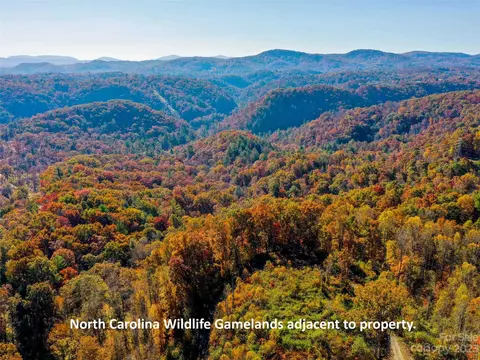 0000 Comet View Ln, Flat Rock, NC 28731 photo 39