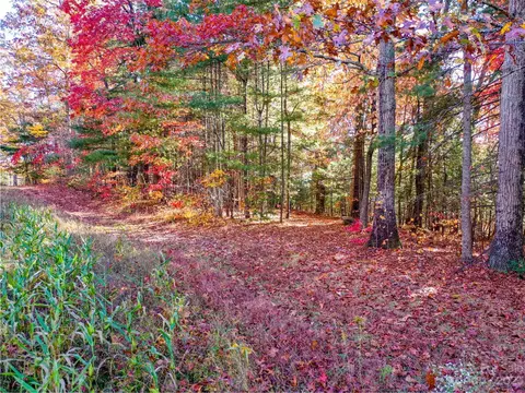 0000 Comet View Ln, Flat Rock, NC 28731 photo 4
