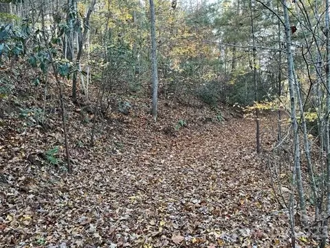 Summer Lane, Mill Spring, NC 28756 photo 9