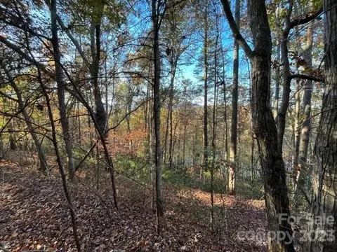 Summer Lane, Mill Spring, NC 28756 photo 11