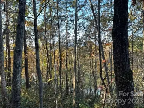 Summer Lane, Mill Spring, NC 28756 photo 10